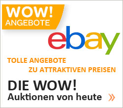 Ebay Wow